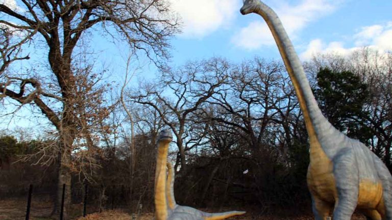 fossil rim and dinosaur valley