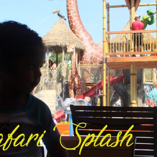 Safari Splash Fort Worth Zoo | Fun For The Whole Family